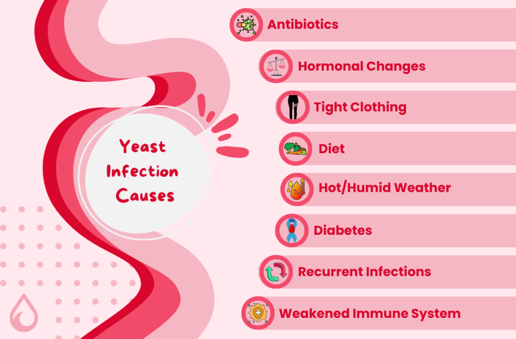 Vaginal yeast infection causes